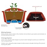 ORIMERC B0C5M6D7HJ lato 3