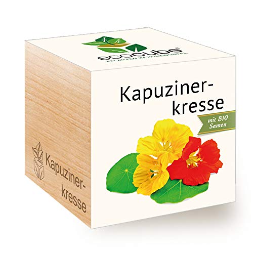 Feel Green Ecocube Kapuzinerkresse, Bio Zertifiziert, Nachhaltige...