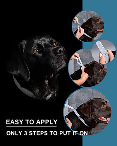 prowithlin Collar Antiparasitario para Perros, 62cm Natural Collar Anti-pulgas Ajustable 8 Meses de Prevención Talla Unica para Todos 5 AJUSTABLE: Nuestro Collar Antiparasitario para Perros está diseñado para 63 cm de longitud, por lo tanto, se adapta a perros de todos los tamaños y edades. Si el collar antipulgas es demasiado largo, córtelo demasiado y manténgalo en la casa del perro para obtener protección adicional.
PREVENCIÓN DE BOLETOS DE 8 MESES: El Collar Antiparasitario Prowithlin es un medicamento eficaz para repeler las garrapatas por hasta 8 meses. Los ingredientes activos funcionarán mejor durante este período. Posteriormente, se debe reemplazar por otra protección máxima.
SEGURO, ECOLÓGICO: Gracias a la composición natural, los collares Prowithlin son absolutamente inofensivos para la salud de su perro. No contiene productos químicos tóxicos que causan alergias a su mascota.