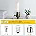 Grensk Dimmable Tubular Light Bulbs 40Watt,4W E26 T10 LED Type T Bulbs,2700K Warm White Long Edison Light Bulbs for Chandelier Light or Industrial Wall Sconces,400Lumens,4.96 inches,2Pcs
