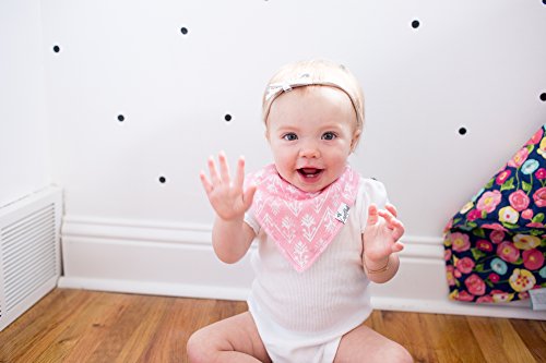 Copper Pearl 4 Pack Soft Cotton Baby Bibs for Drooling and Teething, Absorbent Drool Bibs for Baby Girl, Adjustable to Fit Newborns to Toddlers, Tons of Styles (Claire Set) - Thumbnail 2