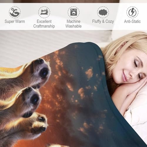 Couverture de salon en flannel douce Suricate pour vos soirées cocooning - 4