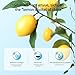 Imagen de Rodajas De Limón Liofilizadas