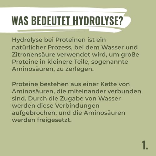 HANS Brainfood 90% Bio ULTRA fermentiertes Erbsenprotein Pulver cremig 1kg neutral - Veganes Proteinpulver cremig Mit Optimalem Aminosäurenprofil & Gut löslich - Bio Protein Pulver (1000g)