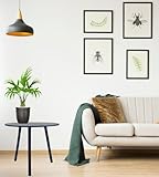 Due Esse di B0FNRXFJFG lato 4