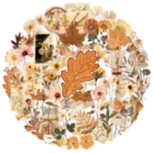 Image of 50PCS Transparent Flora Scrapbook Stickers, Vintage Aesthetic Flowers Sticker for Scrapbooks Travel Journal, Vinyl Waterproof for Water Bottles Laptop Phone Scrapbook Supplies DIY Crafts(Flower-A)