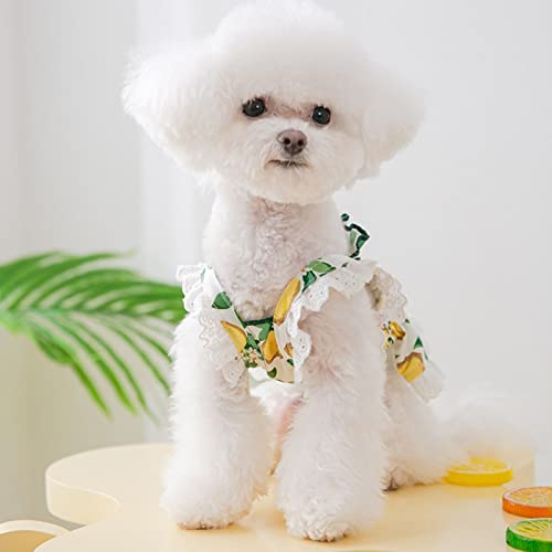 Dog Dress Dog Lovely Fruit Dress Cat Dress Dog Skirt Soft Breathable Dog Cotton Summer Dress For Small Medium Large Dog Girls Puppy Lightweight Pet Dresses #TOP4