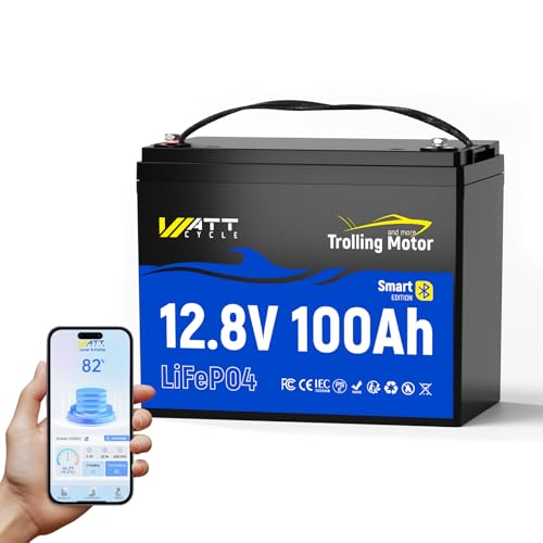 Image of Wattcycle 12V 100Ah LiFePO4 Battery with 120A BMS IP67 Bluetooth