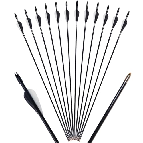 OAEZAEY 29インチ ファイバーグラス 練習用矢 アーチェリー用品 金属製矢じり ジュニア用アーチェリー 12本セット コンパウンド弓 リカーブ弓 伝統弓 ストレートボウ用 スポーツ&アウトドア向け