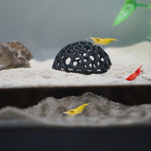 Image of CTWPets Shrimp Breeding Protection Set, 3-Pack Bundle with Hide Dome, Half Protector, Breeding Protector (Black)