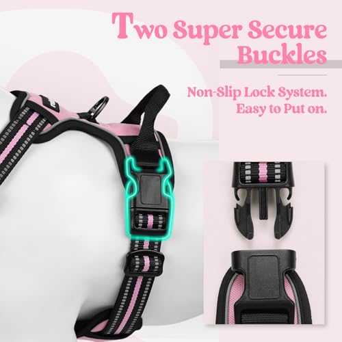 Image of rabbitgoo Dog Harness No Pull with 2 Leash Clips, Adjustable Soft Padded, Reflective Oxford No Choke Pet Vest with Easy Control Handle for Medium Sized Dogs, Pink, M