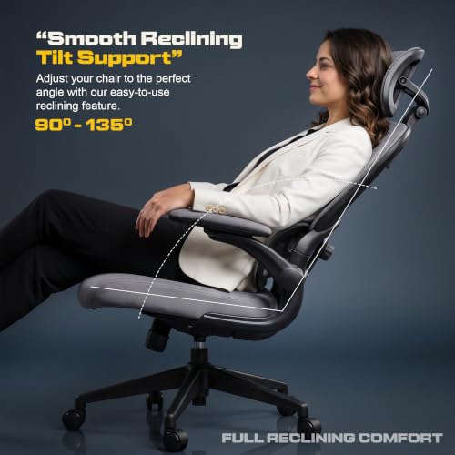 Image of DROGO Vesby Ergonomic Office Chair for Work with Dual Adaptive Lumbar Support | Breathable Mesh Computer Chair with 3D Headrest & Armrest | Gaming Chair with 135 Recline, 1-Yr Warranty(Dark Grey)