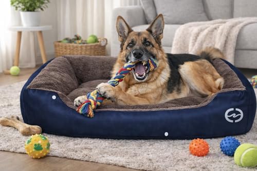 Image of SITSNOOZE Premium Orthopedic Dog Bed XL for Large Dogs 20 to 30 kg Washable Reversible Cushion Sofa for Boxer, Rottweiler and Doberman Breeds (Brown and Blue, XL)