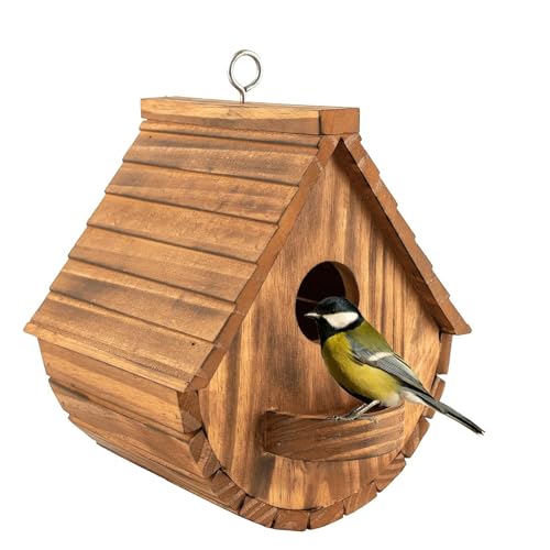 Bebochoi Nichoir pour Oiseaux Exterieur, Nichoir Mésange en Bois - Mangeoire Oiseaux Sauvages, résistant aux intempéries idéal pour Toutes Les Tailles de Jardin...