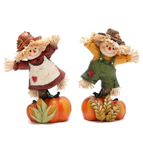 Hodao BY-660012 Collectible Thanksgiving Pumpkin Scarecrow Figurines Harvest Scarecrow Decoration Fall Decorations cover