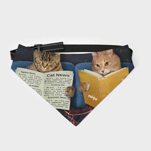 [§miyo] ybgp o_i Lp ֕t OpXJ[t ߉\ HGv y _炩 U av[g lRL (46)