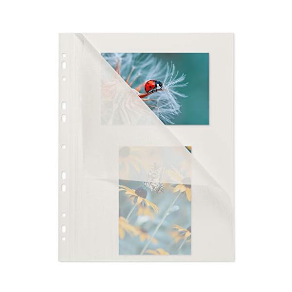 mashpaper Fotokarton Fotoblätter 100 Blatt weiß mit Pergamin 230x297mm 65000420