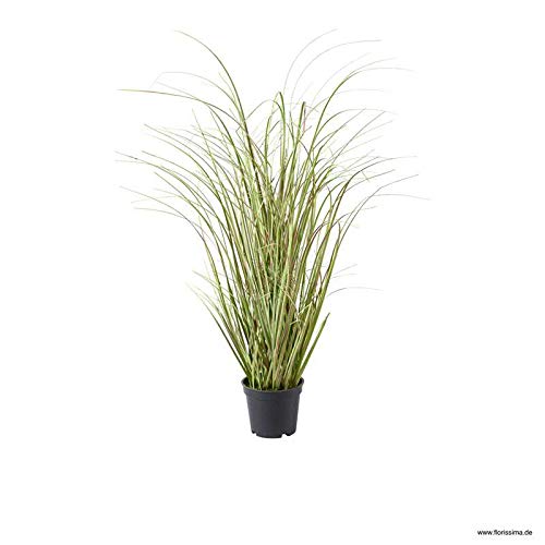 Klocke Kunstpflanzen Dekogras im Topf - Künstlich & Naturgetreu - Klein: 58cm - Hochwertiges Gras/Grasbüschel/Grasbusch/Grasbündel/Ziegras/Ufergras/Kunstgras getopft - Zeitlose Dekoration - Tischdeko Cover