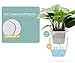 Self Watering Planter Garden, Hydroponics Growing System Flower Pot, Gardening Starter Kit Small Fish Tank, Best Gift Set for Women and Kid, Seeds Not Included, Large Size