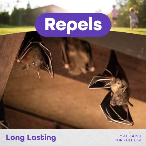 Bonide Bat Magic Bat Repellent, Pack of 4 Ready-to-Use Peppermint Oil Scent Packs for Long Lasting Indoor Bat Control - image 3