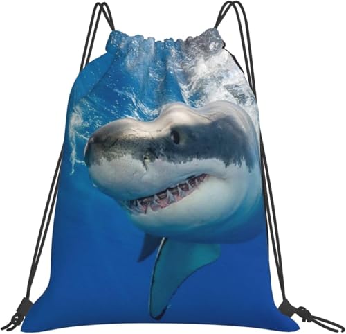 [Zateem] ibvTbN WTbN 킢 jłT bN g[jOobO v[obN V[YP[X e ܂  X|[c h ВobO ̑ C j  sObY jp