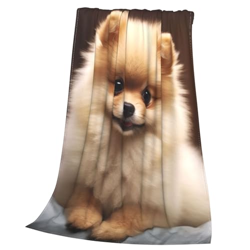 Couverture polaire motif Poméranie, cadeau idéal maison - 4