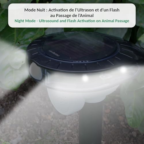Répulsif solaire sonore FISHTEC avec flash LED et détection 8 m