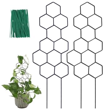 indoor trellis for climbing plant