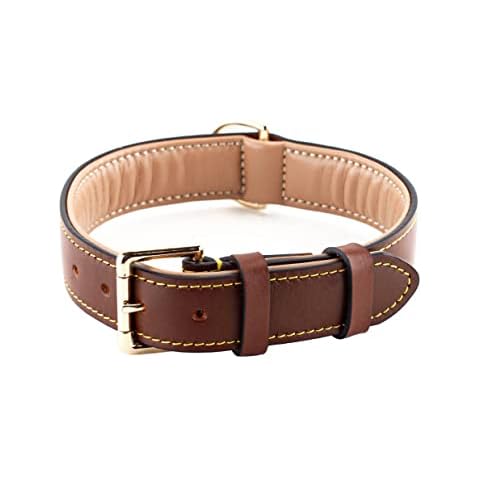 Brute Strength Leather Dog Collar Brown XXL 66-73 cm Cover