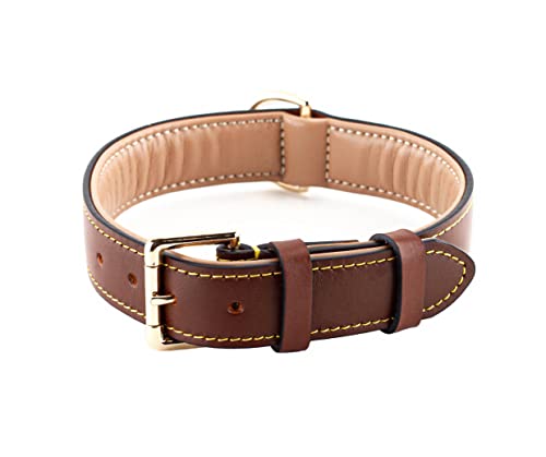 Brute Strength - Collare di lusso per cani in pelle - Marrone - XXL - (66-73) x 3,5 cm