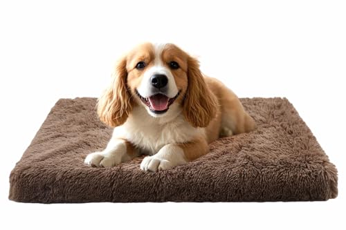 MDDK DY Panier Moelleux pour Petit Chien – Déhoussable et Lavable, Lit en Peluche avec Base Antidérapante, 50 x 40 x 5 cm, Marron Chameau