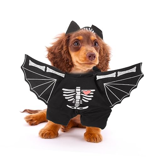 Disfraz Halloween murciélago para perros y gatos miniatura 5