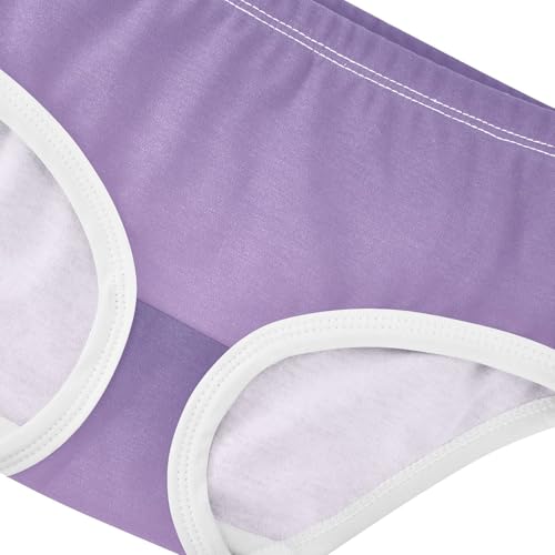 Joisal Violet Gradient Ombre Toddler Girls Underwear 2t Cotton Panties for Girl Artistic Briefs Kids Undies4