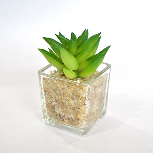 Artificial Bonsai Small Plant with Pot - (Clear) (Pack of 1)