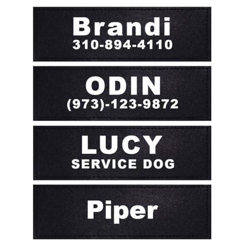 DOGGYKINGDOM Custom Patch for Dog Vest Harness Customizable Text Personalized Patches with Hook Backing Name and Phone Number Service Dog in Training Emotional Support, Pack of 2, 4.3 x 1.2 in
