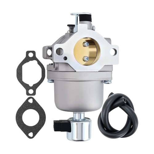 Carburateur 22-853-02-S de rechange pour blocs moteurs série KS530-3011