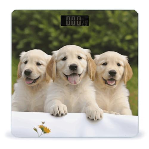 Báscula digital de baño tema Golden Retriever 400 lb vidrio templado miniatura 1