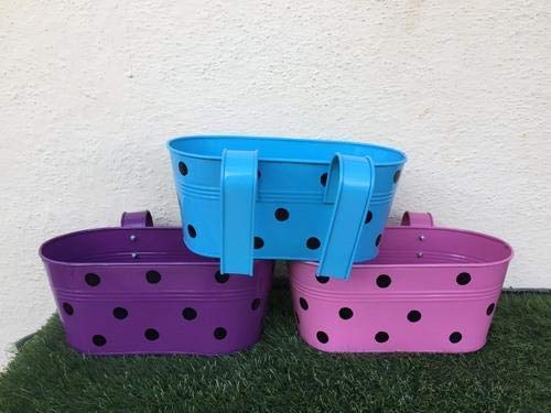 Trendy home Home Black Dotted Oval Shape Metal Flower Pot for Hanging in Balcony Plants Garden Decor (Pack of 3) Multicolor
