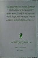 Welsh Witches and Warlocks 0863810683 Book Cover