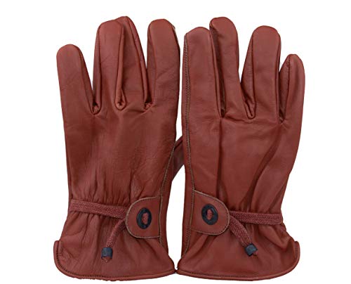 Black Jungle Gants Cuir cavalier Biker Femme Homme Noir Gants, marron, XXL Cover