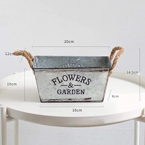 Plant hydroponic container en fer résistant pour balcon abrité