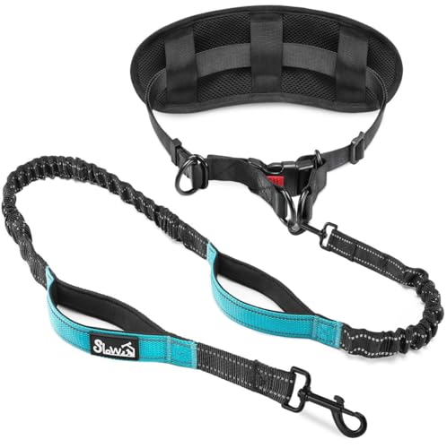 Eyein Joggingleine Hunde mit Bauchgurt, Freihändig Hundeleine mit Abnehmbare Gürteltasche, Reflektierende Laufleine mit stoßdämpfendem Bungee und Dual Griffe zum Joggen Laufen Wandern (M für 1 Hund)