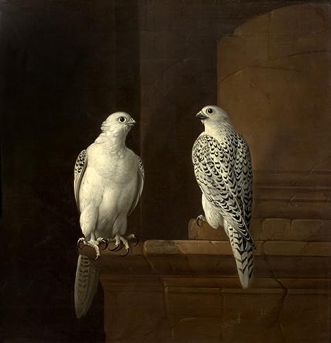 Deux faucons d'Islande toile 58x90cm Jakob Bogdani poster décoration murale oiseau