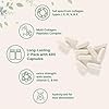 Micro Ingredients 2 Pack Multi Collagen Pills for Women & Men, 480 Capsules | Type I, II, III, V, X | Hydrolyzed Protein Peptides with Biotin, Hyaluronic Acid, & Vitamin C | Keto & Paleo Friendly