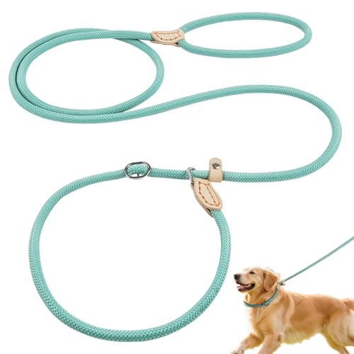 OSDUE Guinzaglio a Strozzo per Addestramento Cani, 180 cm Guinzaglio Retriever, guinzaglios per cani con fermo di trazione, Comoda Impugnatura, Resistente Leggero, per Piccoli, Medier