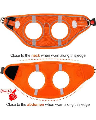 Joytale Hundegeschirr, Reflektierend Weich Gepolstert Hunde Geschirr, Air-Mesh Atmungsaktiv Brustgeschirr für Kleine Mittelgroße Hunde, M, Orange
