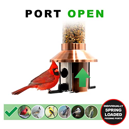 Roamwild 2.0 Squirrel Proof Wild Bird Feeder Mixed Seed Sunflower Heart Version thumb #3
