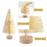 KUUQA B081GP2CJ4 lato 3