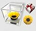 Passionefiori.it Cubo Girasole Stabilizzato 8cm con Fondo Effetto Acqua. Girasole eterno, idea regalo fidanzata, Mamma, Natale,Compleanno,Anniversario