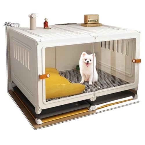 WyazzivpP[W^pgCptFXLXƂrOXy[X͒ŒʋCǍDł (2}Xł,white)